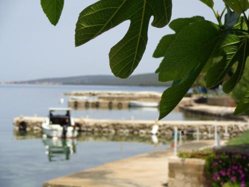 Φυσικό τοπίο κοντά σε αυτό το bed & breakfast
