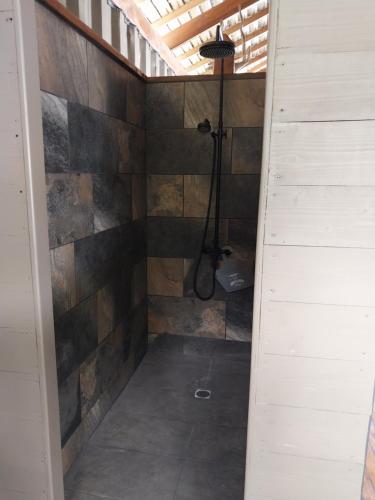 a bathroom with a shower with a toilet in it at Faré Mahi Mahi in Uturoa