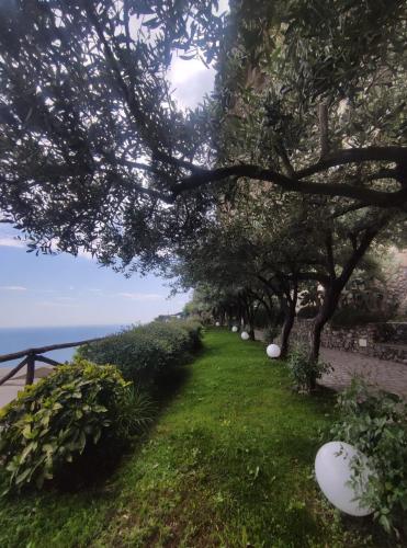 a row of trees with white balls in the grass at Villa San Cosma in Ravello