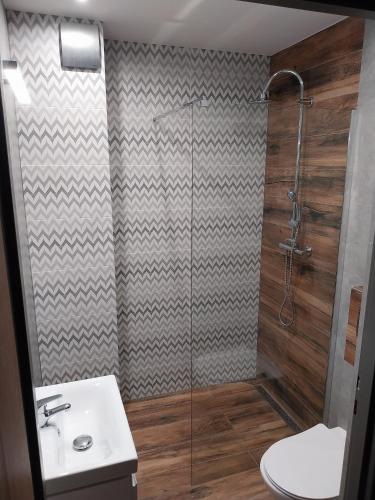 a bathroom with a shower with a sink and a toilet at VILLA EDEN USTKA wypoczynek dla dorosłych in Ustka