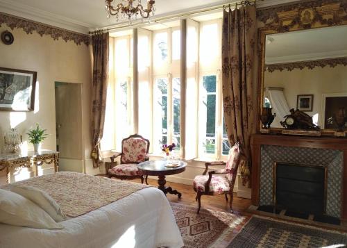 a bedroom with a bed and a fireplace and a mirror at Château de la Vernède, la Grande Vernède in Saint-Rémy-de-Chargnat