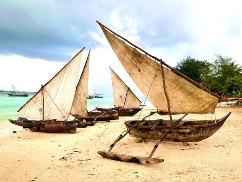 Landskap semula jadi dekat dengan lodge
