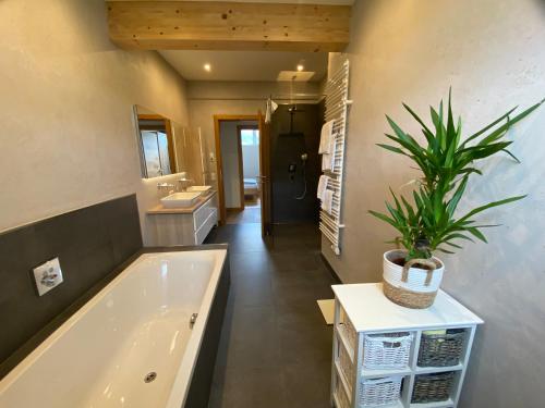 a bathroom with a tub and a potted plant at Apartments Golfweg in Kitzbühel