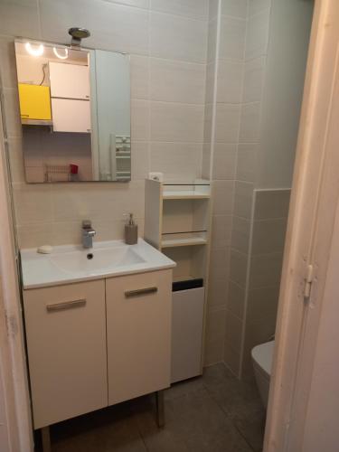 une salle de bain avec un lavabo et un miroir et des toilettes dans l'établissement Les Appartements De Lina - Studio West City - Self Check-In, à La Grande Motte