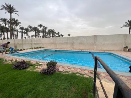 ein großer Pool mit Palmen im Hintergrund in der Unterkunft Husaini Villa - Kafr Hakeem - Mansuriyah Giza in Kairo