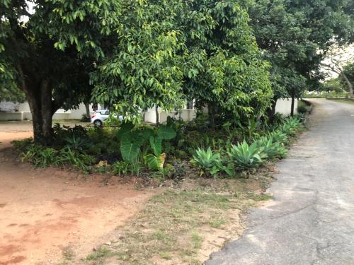Κήπος έξω από το Villa Jullienne - A Home Away From Home - Unit 1