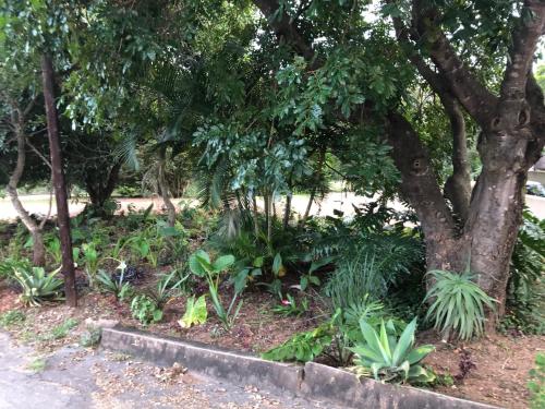 Κήπος έξω από το Villa Jullienne - A Home Away From Home - Unit 1
