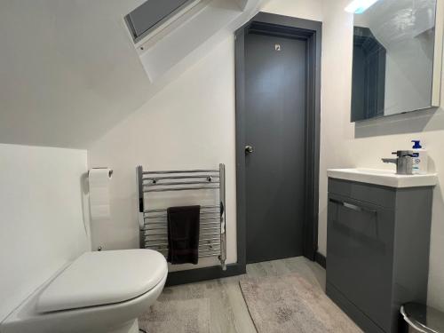 La salle de bains est pourvue de toilettes et d'un lavabo. dans l'établissement Rooms in Modernised Victorian House, à Croydon