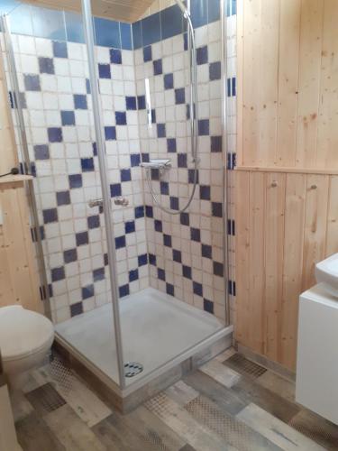 uma casa de banho com um chuveiro e um WC. em Schlafwagen Domblick M o e r e n h o f Xanten em Xanten