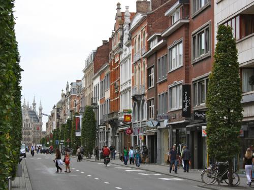 Hosté ubytování Ambassador Suites Leuven