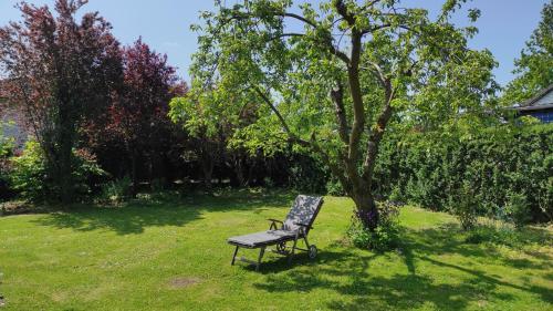 a bench sitting in the grass next to a tree at FeWo Strohbrück in Quarnbek