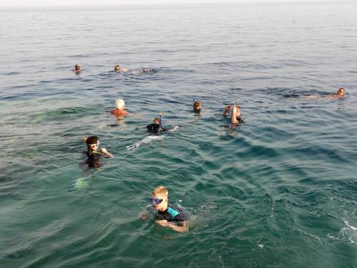 a group of people swimming in the water at Happy Life Village Dahab in Dahab