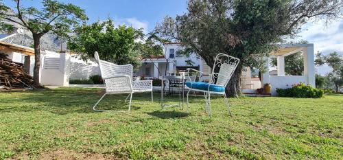 Κήπος έξω από το Loukoulos' maisonette