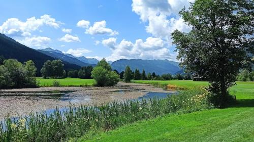 a river in a field with mountains in the background at Kunstwerk AppARTement in Sankt Michael im Lungau
