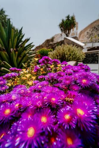 Gallery image of Star Cactus Traditional Cave Suite with Jacuzzi in Mesaria