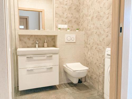 La salle de bains est pourvue de toilettes, d'un lavabo et d'un miroir. dans l'établissement Gdansk Old Town Panienska 3, à Gdańsk