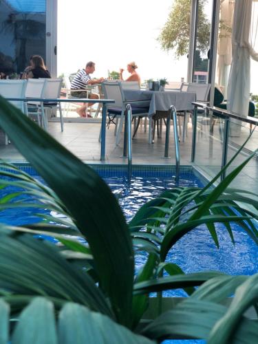 Kolam renang di atau dekat dengan Hotel Senator