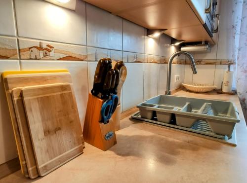 a kitchen counter with a sink and a cutting board at Erholungs-Apartment mit Balkon nahe Therme & Klinik in Bad Lippspringe