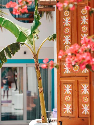 Φωτογραφία από το άλμπουμ του Casa De Nova Hotel σε Gümbet