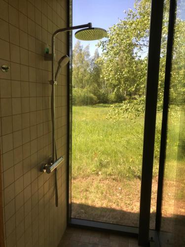 a shower with a glass door with a view of a yard at Kuldi Mirror House 