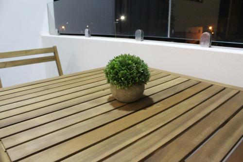 a potted plant sitting on top of a wooden table at Cosy Apartment in Oualidia City Centre with Free WiFi in Oualidia