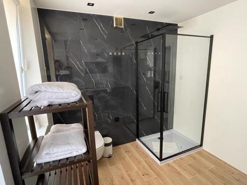 a shower with a glass door in a bathroom at Pokoje Gościnne Bursztyn in Międzyzdroje