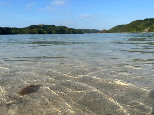 a shell in the sand on a beach near the water at ゲストハウス れんげ苑 in Shimosato