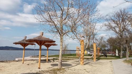 a beach with umbrellas and a tree in the sand at Bíbic Apartman D in Kápolnásnyék