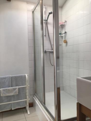 een douche met een glazen deur in de badkamer bij The Blue Room in Bosham