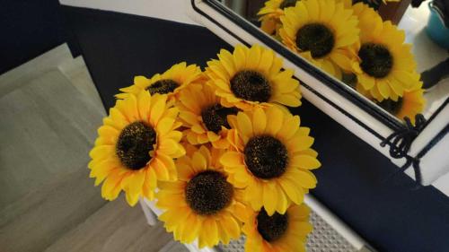 Φωτογραφία από το άλμπουμ του IL GIRASOLE, distante solo 200 mt. REALI dal mare σε Lido Marini