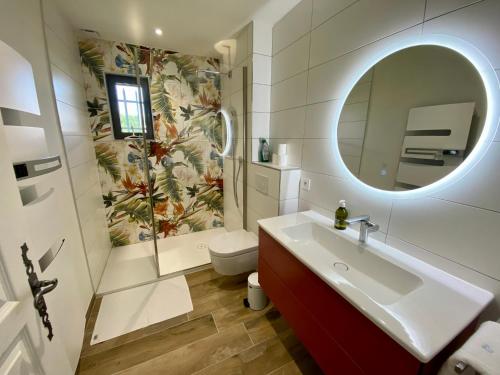 een badkamer met een wastafel, een toilet en een spiegel bij Le chant des jardins in LʼIsle-sur-la-Sorgue