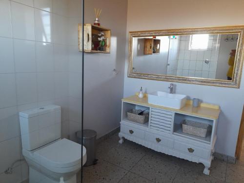 a bathroom with a toilet and a sink and a mirror at Camelot Cottages in Langebaan