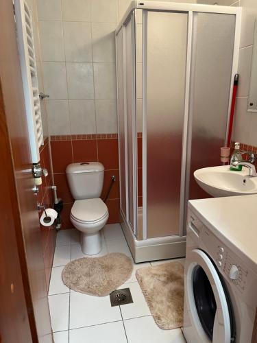 een badkamer met een toilet, een douche en een wastafel bij Apartman 208 in Novi Sad