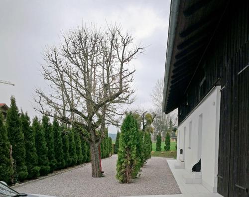 Zahrada ubytování Münsing Nähe Starnberger See, schöne Ferienwohnung, Gästewohnung 125qm EG und OG KONTAKTFREI