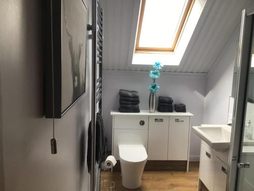 een badkamer met een wit toilet en een dakraam bij The Coffee Pot accommodation in Dufftown