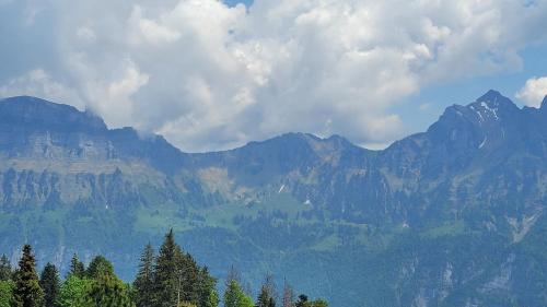 a view of a mountain range with trees in the foreground at Ferienwohnung an der Prodalp Talstation in Flumserberg