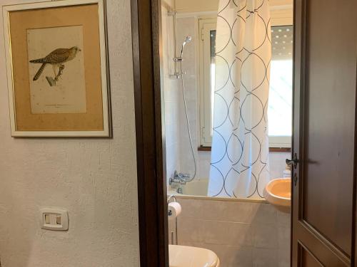 un baño con una foto de un pájaro en la pared en Villino a 200 mt dal mare, en Anzio