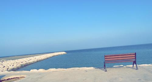 um banco sentado na praia perto da água em الاسكندرية شاطئ النخيل em Alexandria