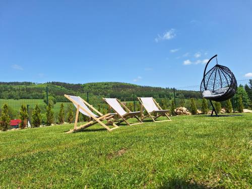 a group of chairs sitting on a grass field at Domki na Sudeckiej Polanie in Stronie Śląskie