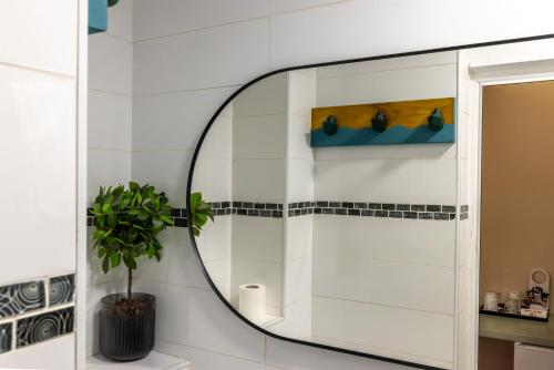 a mirror in a bathroom with a plant at Domus Bat Galim Hotel in Haifa
