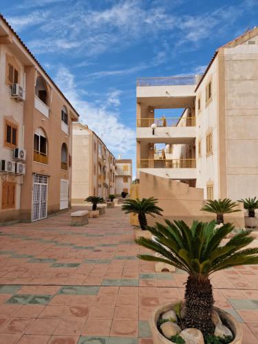 a courtyard of a building with palm trees and buildings at "Vero Vijola" in Torrevieja in Torrevieja