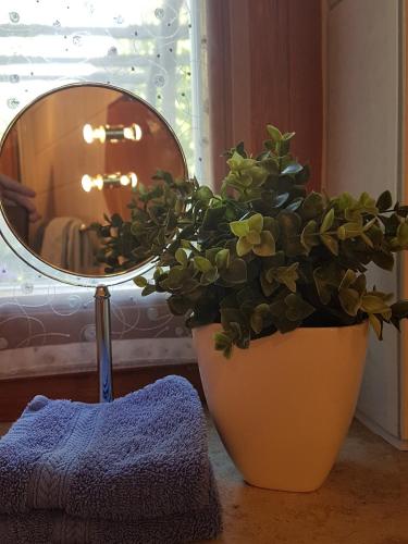 a mirror and a potted plant sitting next to a plant at Ferienhäusle Sommerach in Sommerach