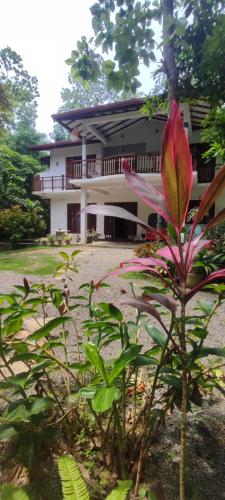 Giardino di Breath House Hiriketiya
