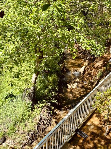 a bridge over a creek next to a tree at Bianca Hotel & Villa in Tirana