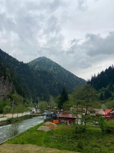 un río en medio de una montaña en Uzungol Soylu Hotel, en Uzungöl