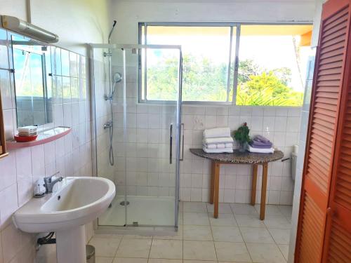 a bathroom with a shower and a sink at Maison spacieuse à Saint-Joseph avec vue sur la mer in Saint-Joseph