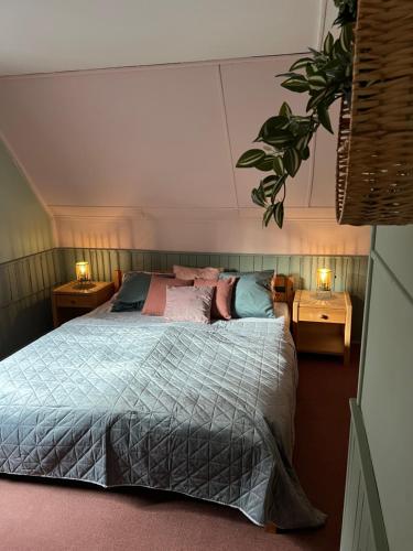 um quarto com uma cama com duas mesas de cabeceira e dois candeeiros em ChillHouse em Loučná nad Desnou