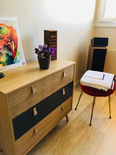 une commode avec une plante dessus avec une chaise dans l'établissement Au pied du circuit des 24h, chez Céline, au Mans