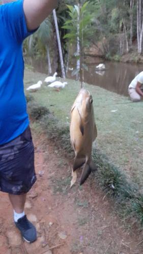 Sitio Camundongo – Photos 5