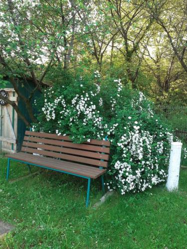a park bench in front of a bush of flowers at Casa Stefandra in Breaza